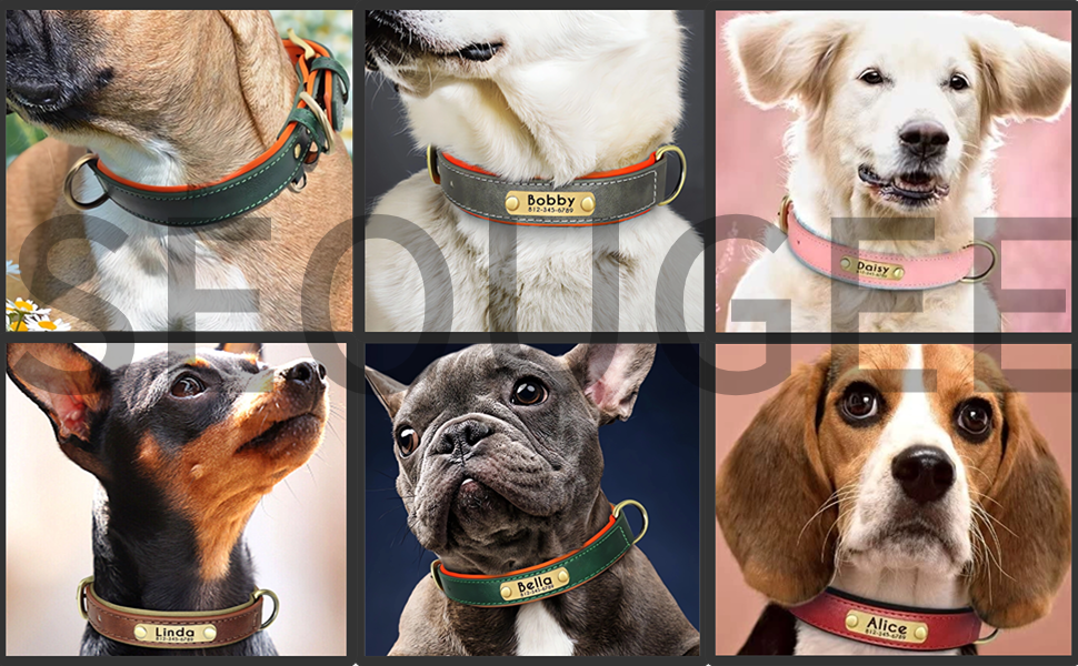 Нашийник та поводок для собак, шкіряні, персоналізовані, м'яко стьовані, міцні, з індивідуальною табличкою, регульовані (M, верблюжий, комплект M: обхват шиї 28-37 см, ширина 2 см)