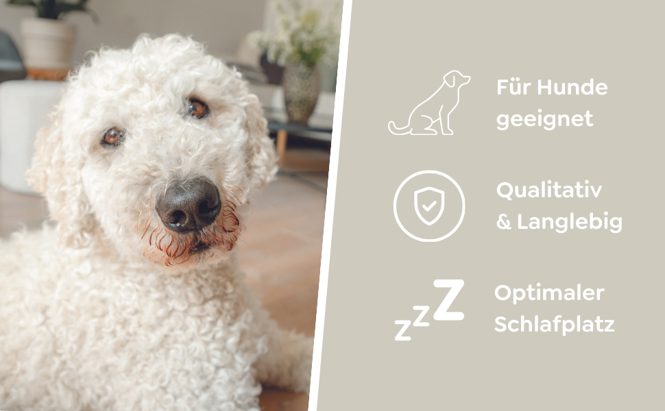 Ліжко для собак TRIXIE з пухом, 50 см, сірий/сріблястий - зручне лежання для маленьких собак, з велюром та плюшем, антиковзаюче, миється, 36528