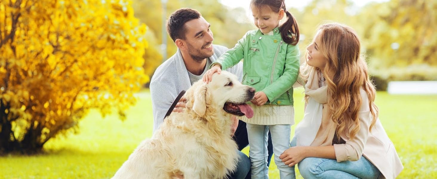 Автокрісло для собак - комфортне та дихаюче, для маленьких та середніх порід. Зручне, складне автокрісло для собак для заднього та переднього сидіння.