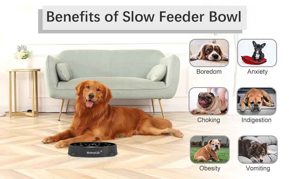 Миска для собак MateeyLife Slow Feeder - повільна годівниця, синій/темно-синій, середня