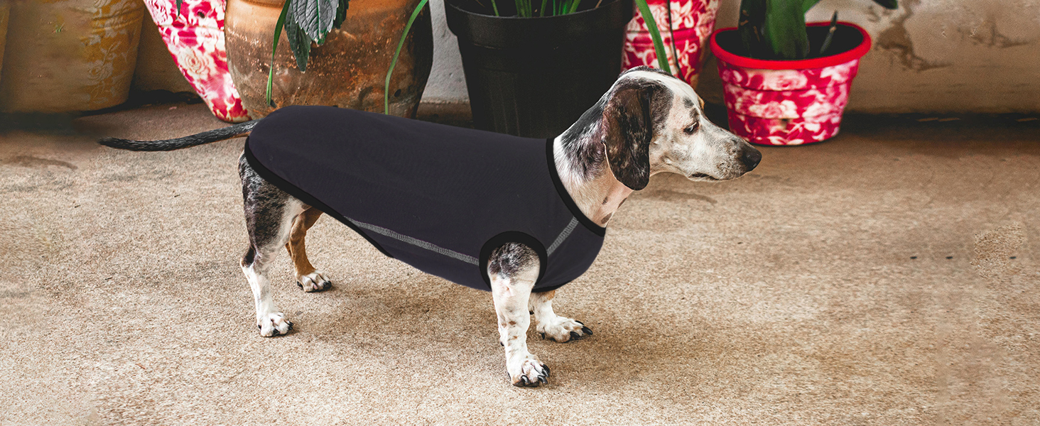 Теплий флісовий пуловер для собак Hjyokuso Dackel L - для великих собак, сірий, універсальний