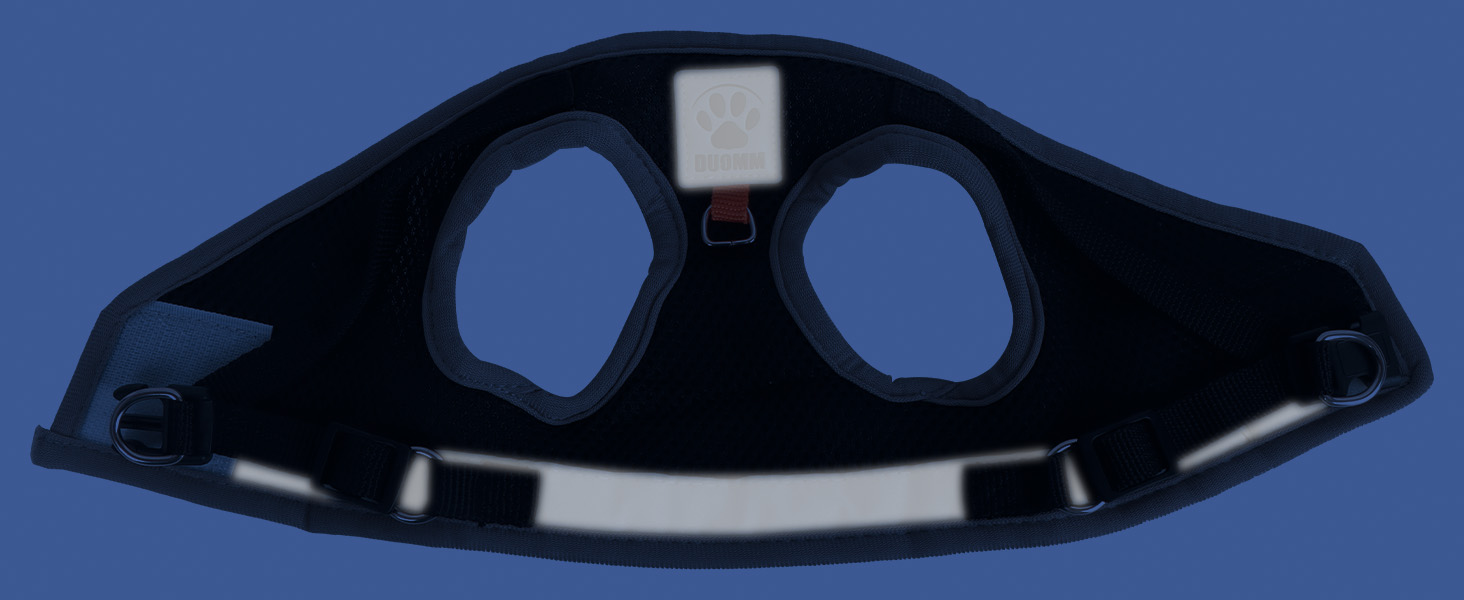 Нашийник для кота Bindokun з повідком, антивитік, комплект, чорний, S