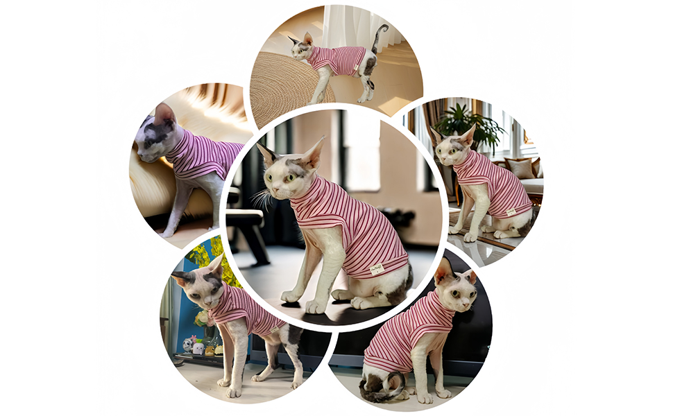 Світшот для безшерстних котів, бавовна, теплий, еластичний, рожевий, розмір S