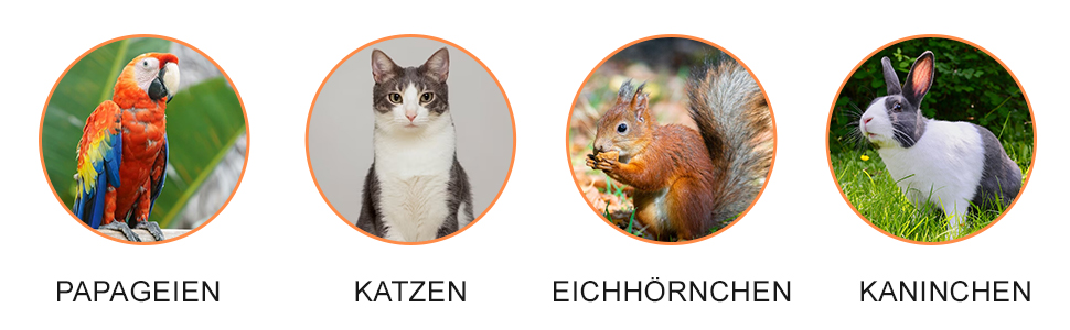 Кітложка InTheMarket з великим вольєром, повністю закрита, багатоповерховий будиночок, міцна конструкція, асфальтовий дах, 190 x 84 x 175 см