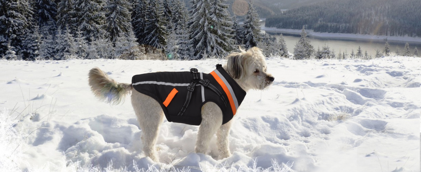 Водонепроникний зимовий теплий накид для собак FeimaX з отвором для шлейки, чорний, S