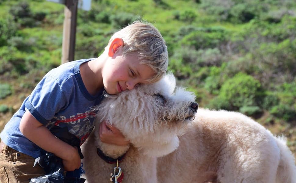 Ортопедичне ліжко для собак Elropet з м'якого корду, кошик для собак, XS/S/M/L/XL, блакитний колір, розмір XS (65x50x18 см)