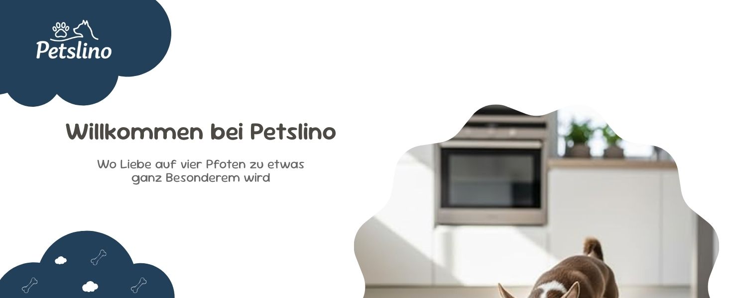 Миска для собак з нержавіючої сталі Petslino Hellblau XL, 2200 мл, з гравіюванням, антиковзаюча, для великих собак