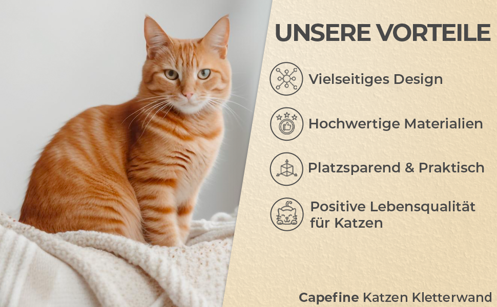 Котяча настінна стінка Capefine з лежаком і драбиною – меблі для котів, настінний комплекс, настінний когтеточка, полиця для кота