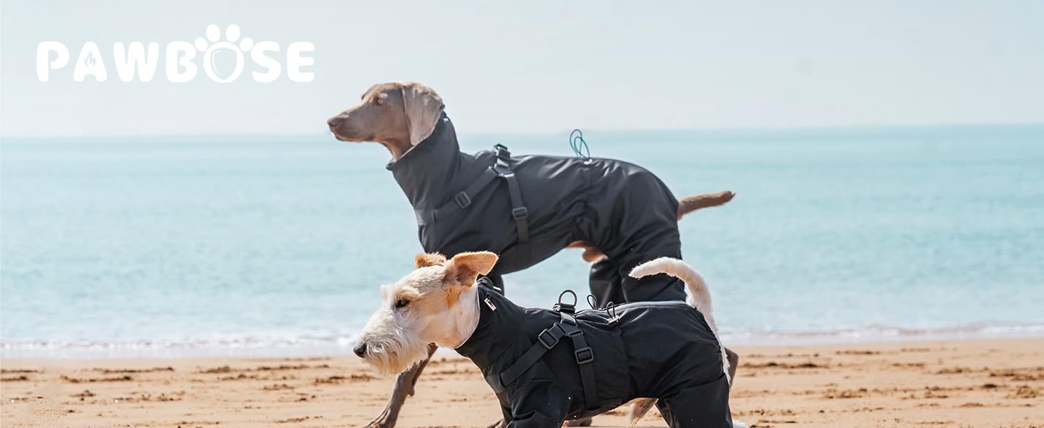 Дощовик для собак PAWBOSE з шлейкою, водонепроникний, для маленьких, середніх та великих собак, з відбиваючими елементами, для літа, 4 лапи (Сірий, 2XL)