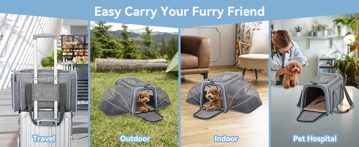 Транспортна сумка для кота та собаки Petsfit, розширювана переноска з плечовим ременем, сумка-переноска для собак та котів, авіапереноска, оксфордська тканина, M, Зелений/Одностороння зелена (Сірий, M/Двосторонній)