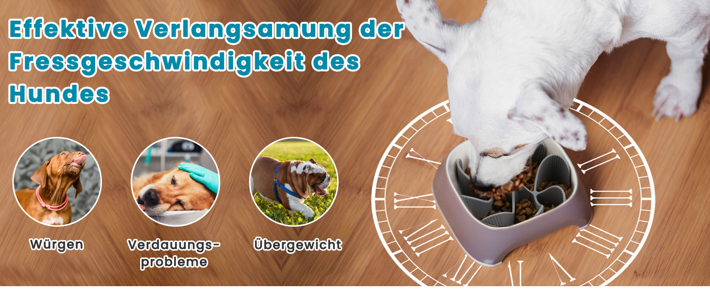 PETTOM Набір з 2 мисок для собак з нержавіючої сталі з антизаковтуванням, 2-в-1, об'єм 1560 мл, з неслизьким силіконовим дном, Ø21 см, 2 миски та 1 вставка