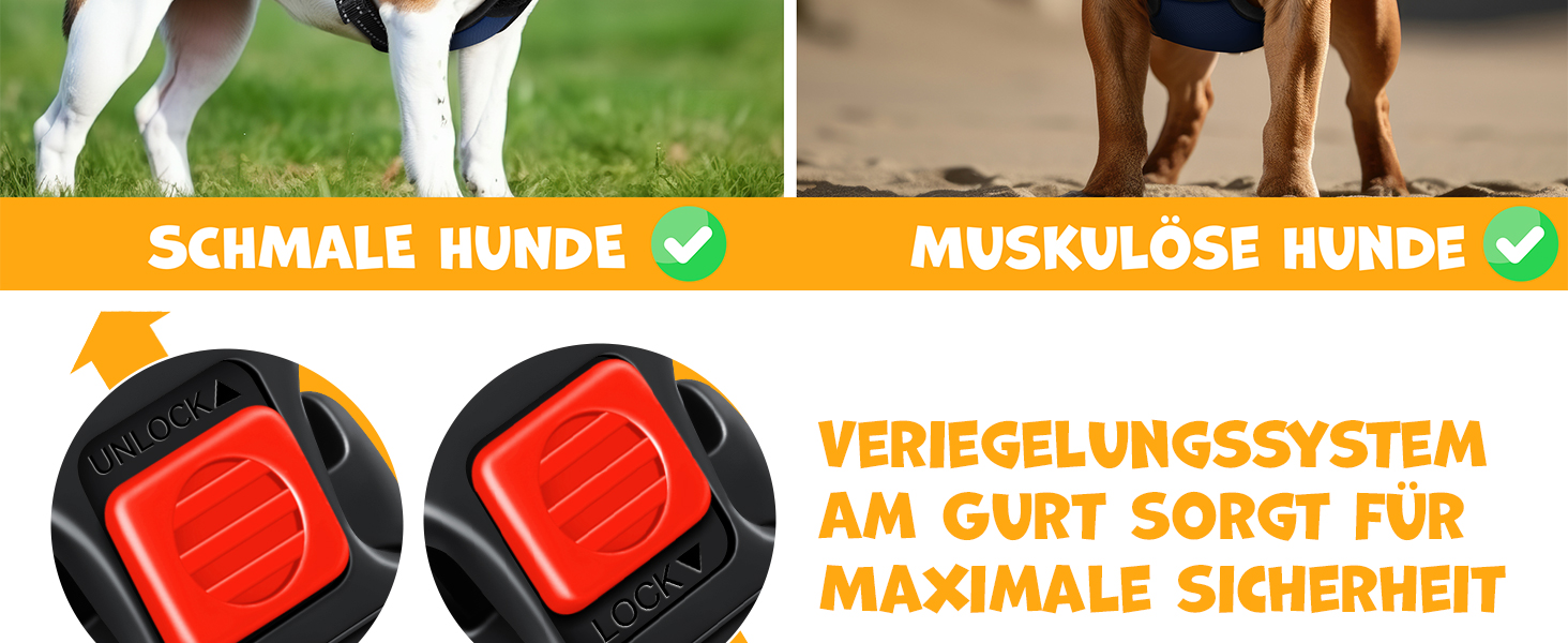 Шлейка для собак LOVPET® без натягу та тяги для маленьких собак та цуценят, дихаюча та м'яка, світловідбиваюча | Безперетягувальна шлейка з ручкою та рулонами для відходів | Регульована шлейка Navy Blue - L Navy Blue