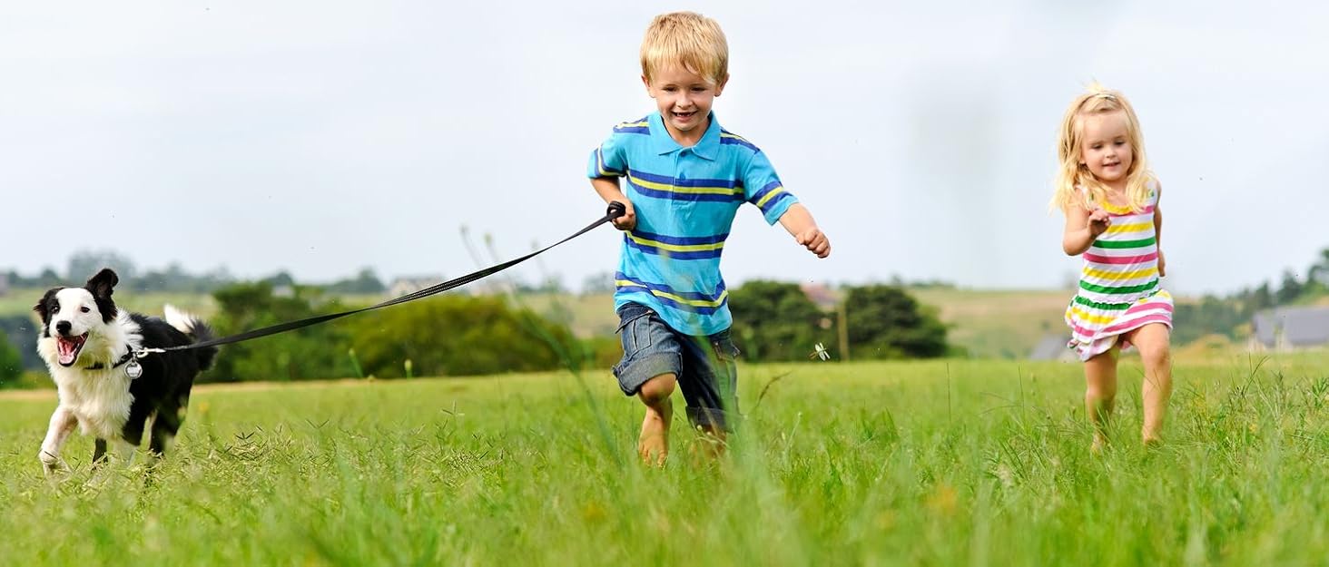 Шлейка для собак проти тяги, дихаюча, регульована, для прогулянок та дресирування, нагрудник, для вулиці, легкий контроль, XS, синій