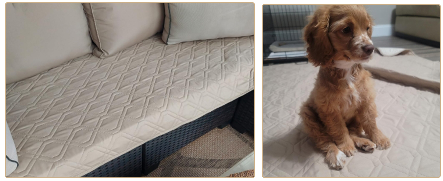 Водонепроникний килимок для собак GYURO - двосторонній, м'який, 97 x 190 см (Хакі) - для великих і маленьких собак, захист дивану, ліжка, авто, придатний для прання