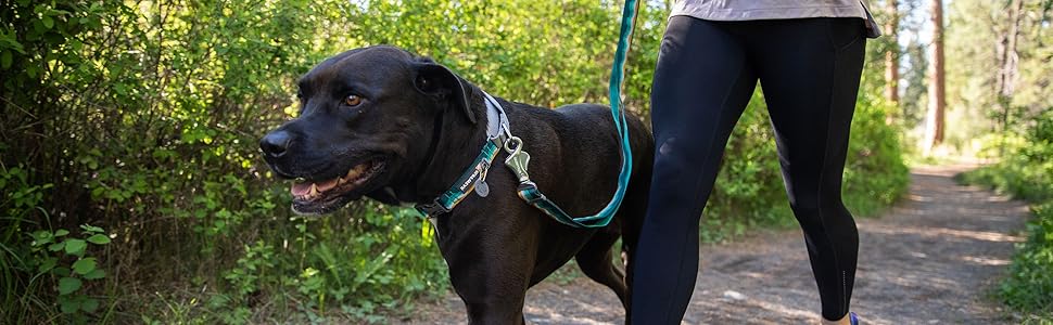 Нашийник для собак RUFFWEAR Web Reaction, гранітно-сірий, 43-51 см