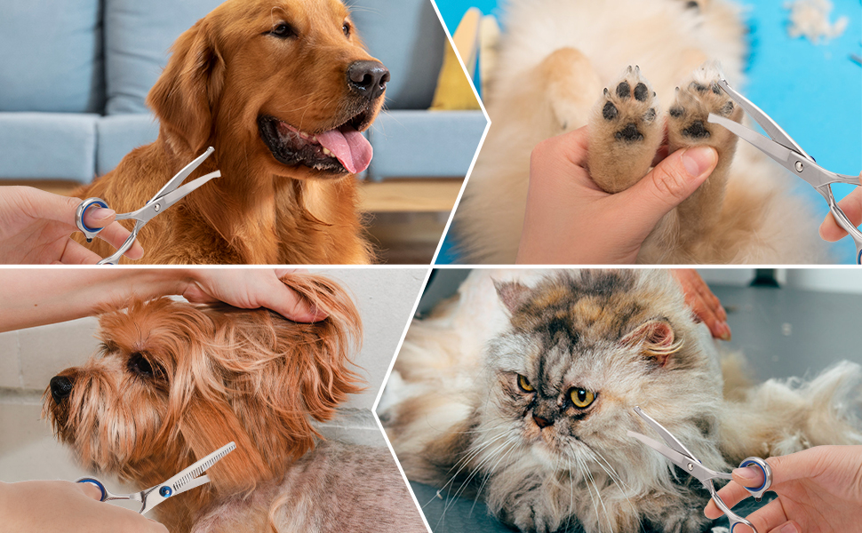 Ножиці для грумінгу собак та котів, професійні ножиці для догляду за шерстю, нержавіюча сталь