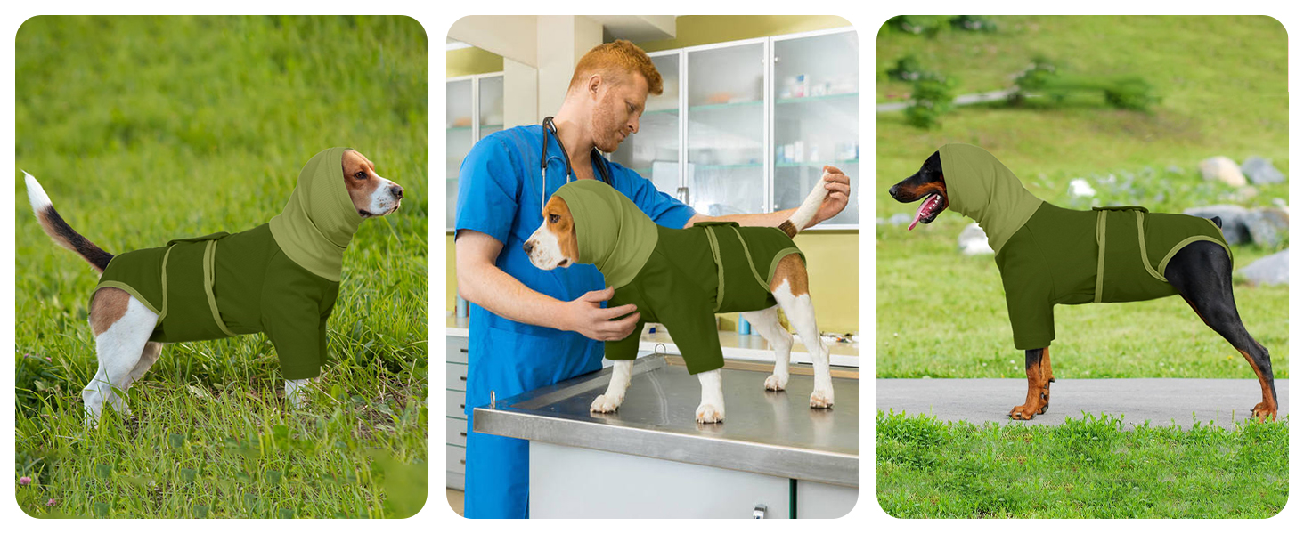 Теплий дощовик для собак MHaustlie з капюшоном та захистом вух, 2 в 1, худі, зелений, розмір S