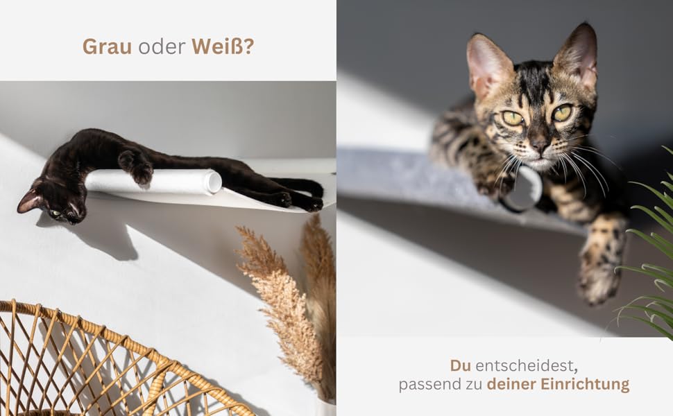Кігтеточка-гамак для котів AZANO® XL з металу | Дизайнерська стіна для лазіння котів | Гамак для котів на стіну | великий та стабільний (Сірий) AZANO-Сірий