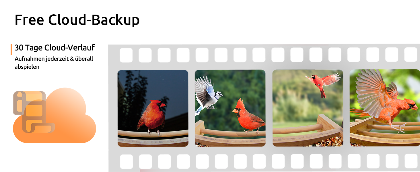Розумна годівниця для птахів Netvue Birdfy з камерою, сонячною панеллю, 3L, автоматична ідентифікація птахів, для спостереження за дикими птахами