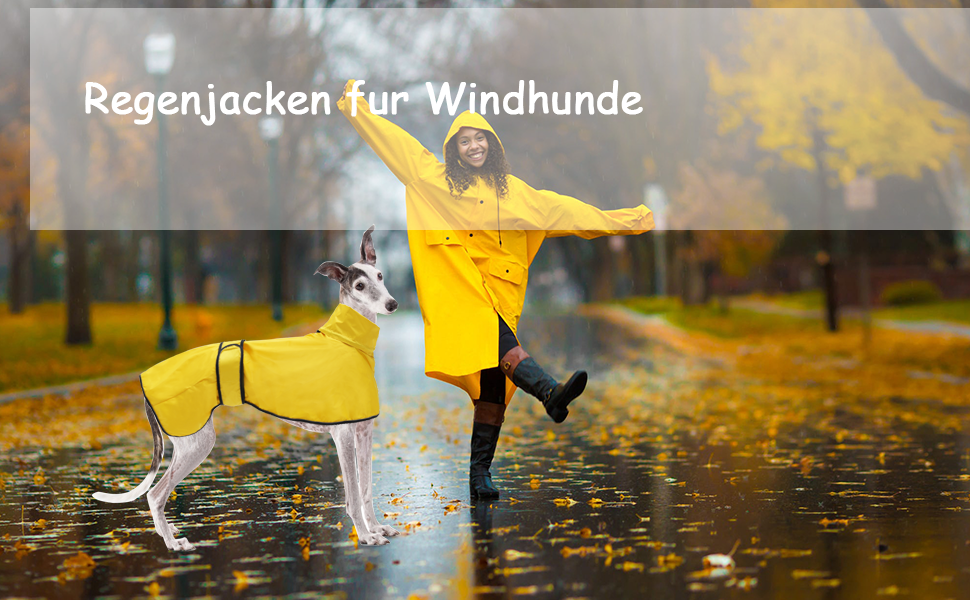 Водонепроникна куртка для собак Віндхаунд, червона, M (довжина спини 56-58 см)