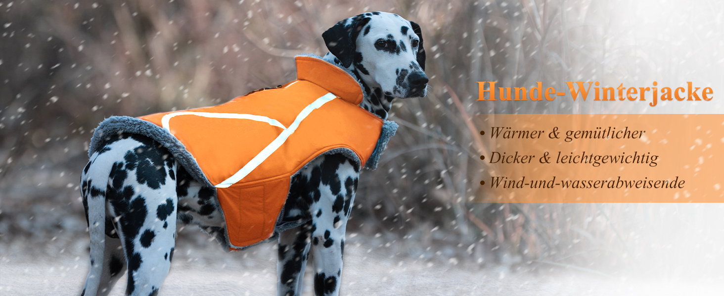 Теплий зимовий одяг для собак VIVAGLORY Frostfit: софтшелл з підкладкою з флісу, захист від снігу та холоду, світловідбиваючі елементи, сірий, XS (37-44см)