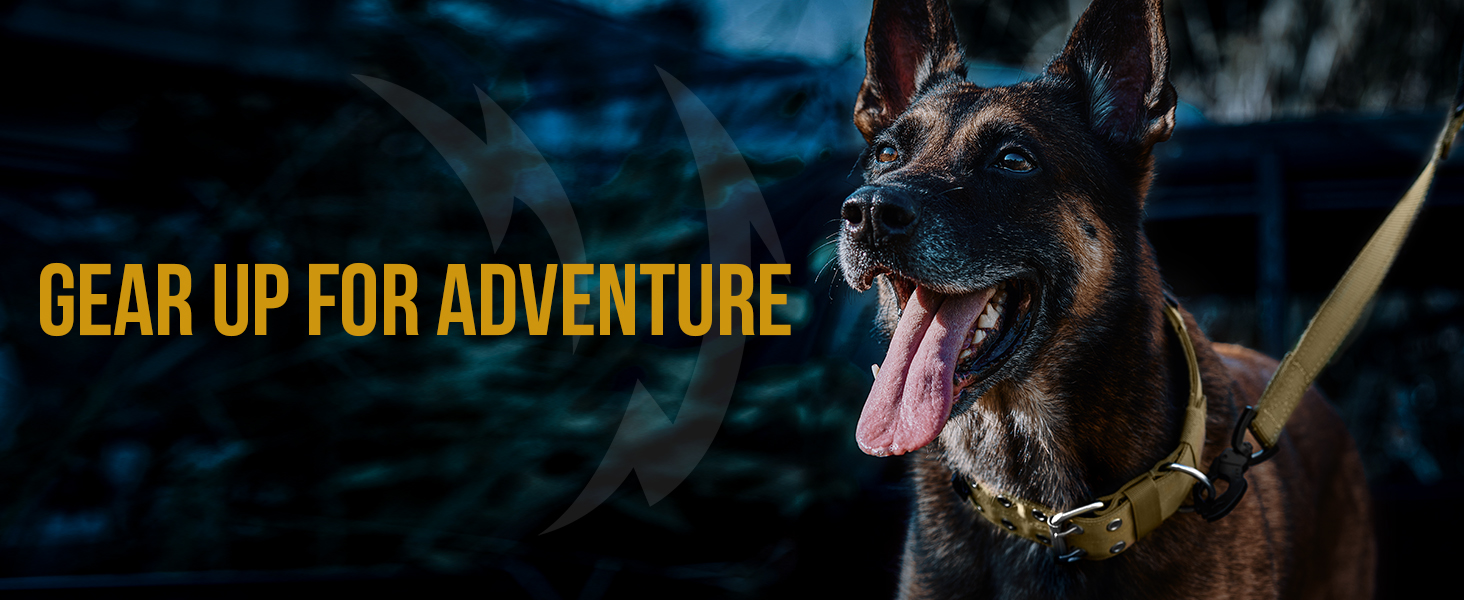 Нашийник для собак OneTigris 5 см з ручкою та патчем, чорний, розмір L