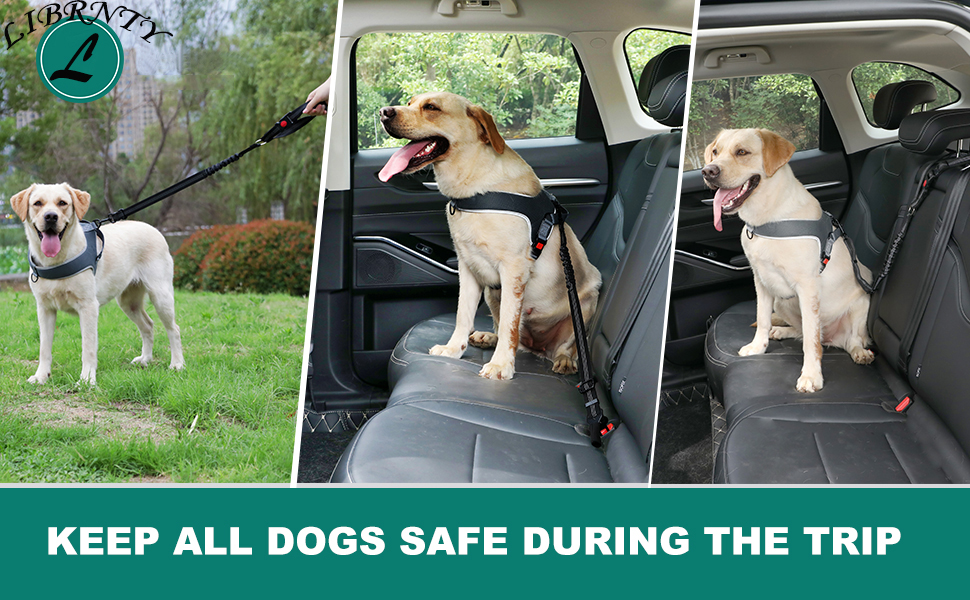 Ремінь для собак у багажник авто, 2 шт. - безпечна фіксація, для подорожей та транспортування, з еластичною амортизацією та міцними карабінами, підходить для всіх порід собак та котів