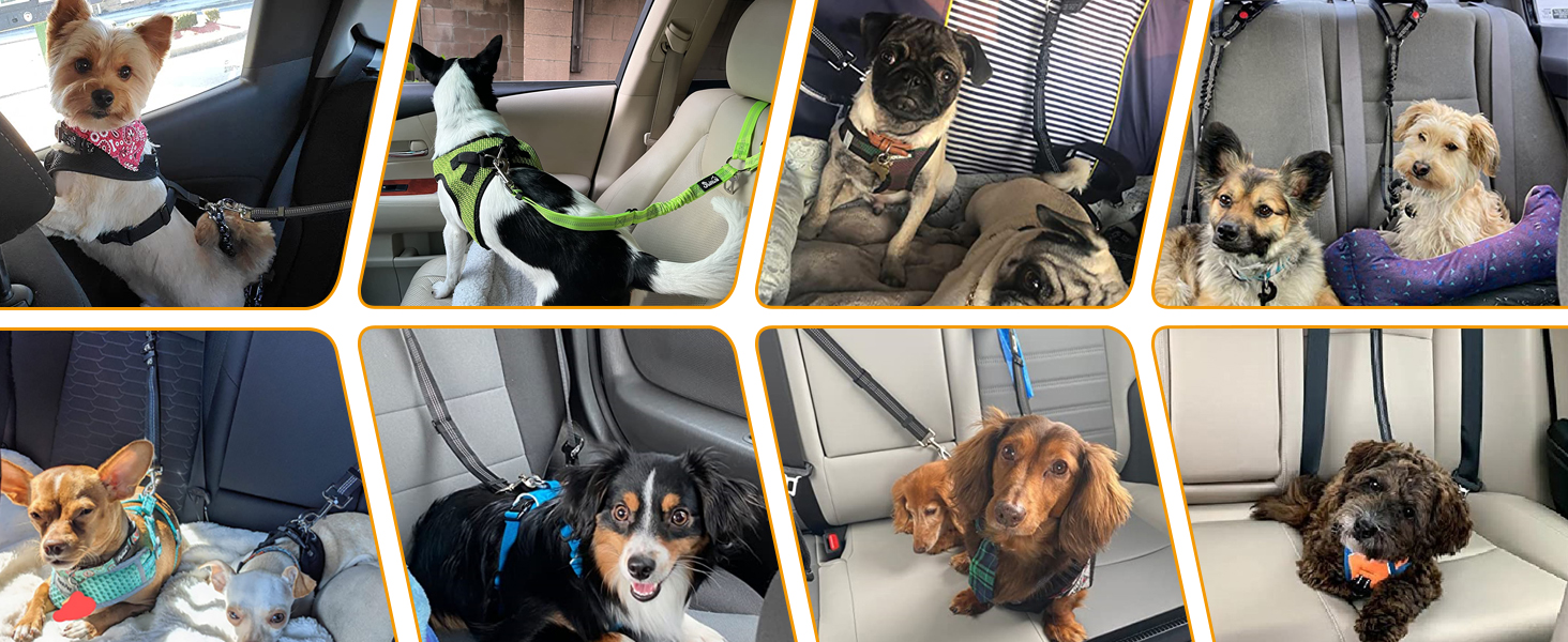 Ремінь безпеки для собак у машину SlowTon 2 шт. (Кріплення для підголівника + кліпса)