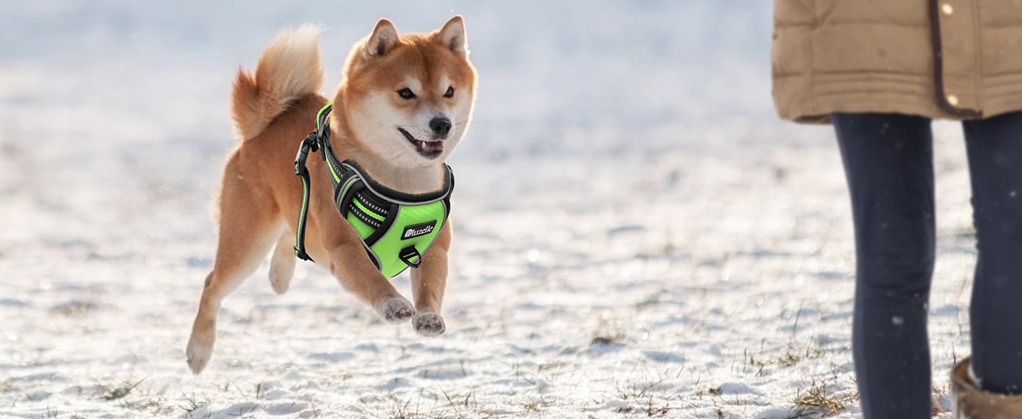 Шлейка для собак середніх порід Bluzelle, світловідбиваюча з ручкою та кишенею для GPS-трекера, анти-тяга, дихаюча, розмір M, зелена