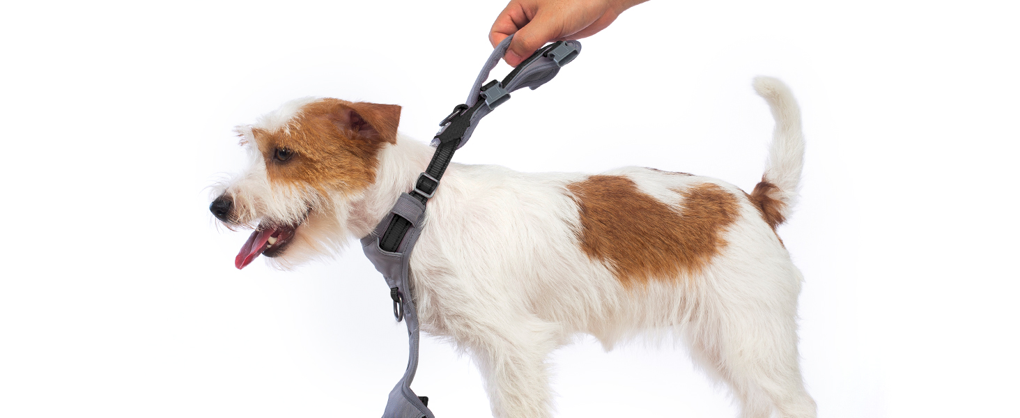 Шлейка Huntboo для собак - запобігання вириванню, шлейка від паніки, світловідбиваюча шлейка з ручкою, регульована шлейка для собак маленьких, середніх та великих порід (Чорний, S)