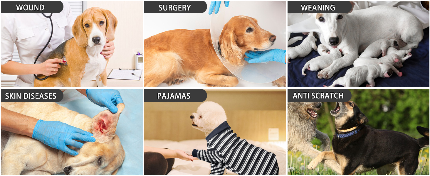 Захисний одяг для собак після операції: повний костюм для собак, що відновлюються (дівчатка, хлопчики), чорний