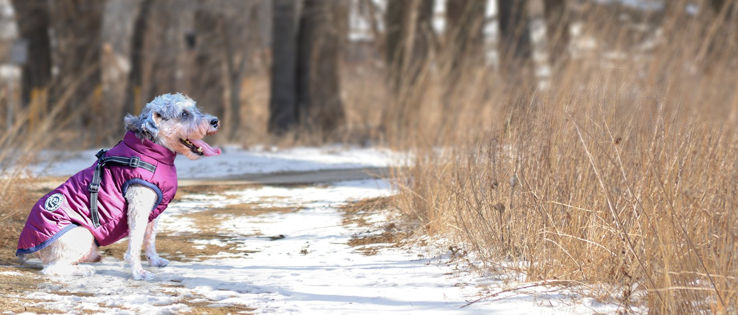 Водонепроникний зимовий теплий дощовик для собак Savlot - вітронепроникна куртка для маленьких та середніх собак з нашийником, світловідбиваючі елементи (чорний + сірий)