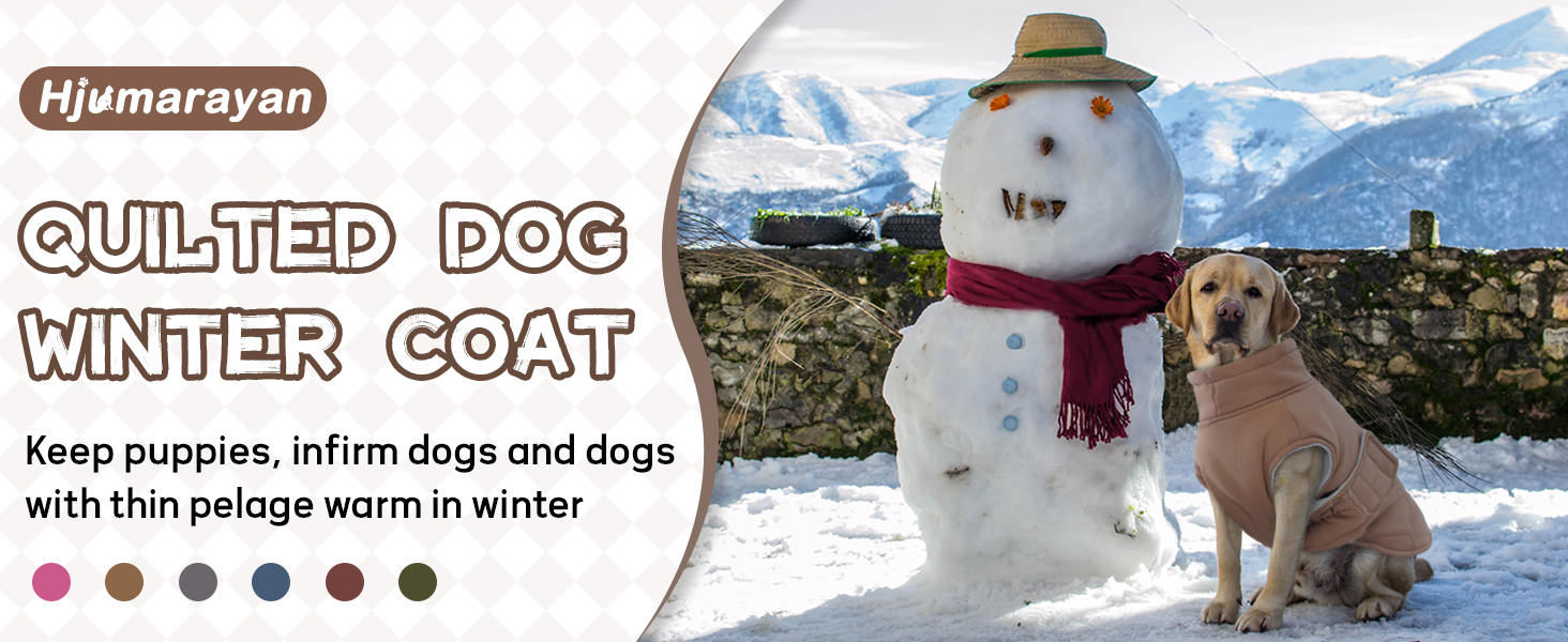 Зимовий теплий одяг для собак маленьких порід: куртка, жилет, теплий костюм для Чихуахуа, Звергшпіца, Йоркширського тер'єра (Армійний зелений, XS)