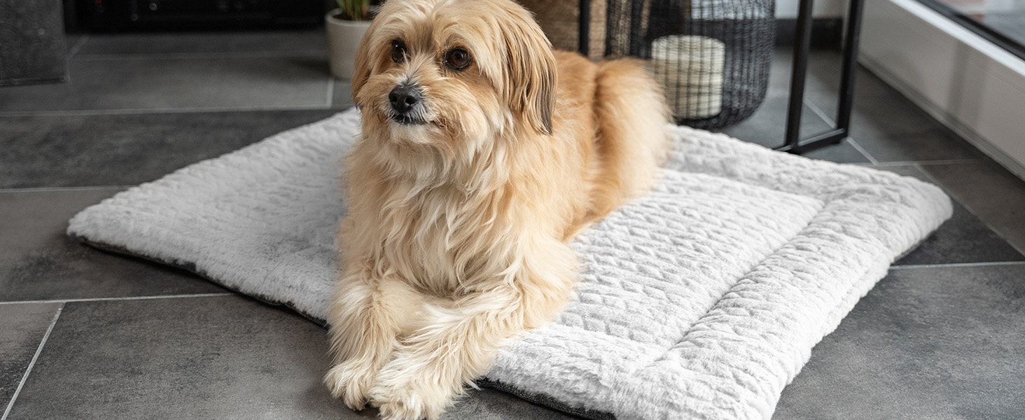 Двостороння ковдра TrendPet Heaven для собак і кішок, сіра