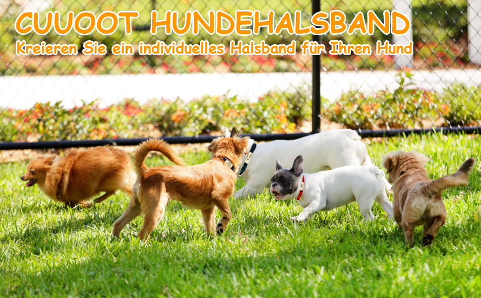 Персоналізоване собаче ошийник з металевою застібкою, двостороннє оксамитове обплетення з іменем та номером телефону, регульовані розміри для собак маленьких, середніх та великих порід