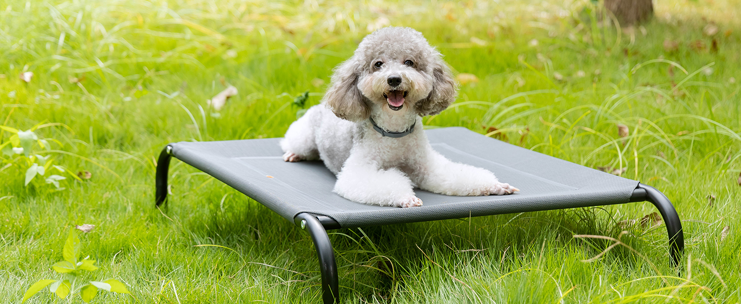 Nobleza Hundeliege Outdoor: Підвищене ліжко для собак, середній розмір, для вулиці, кемпінгу, з охолодженням, сіре, M, 105x80x20 см
