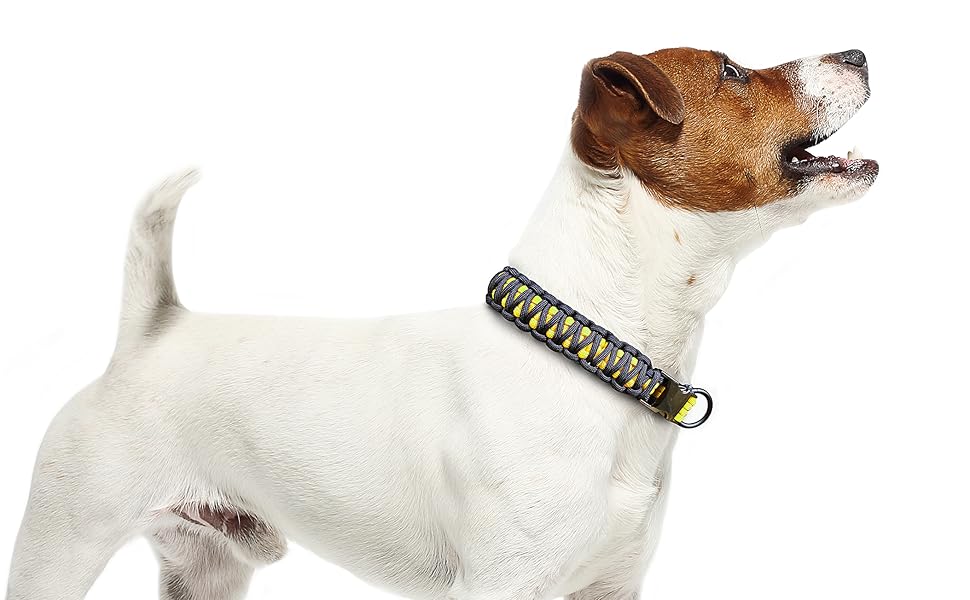 Набір для плетіння паракорду 550: ошийник для собак, інструкція, подарунок DIY