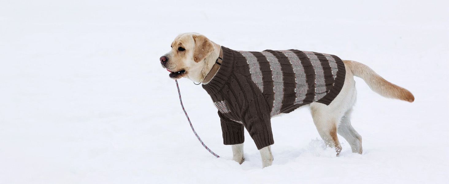 Теплий зимовий пуловер для собак маленьких порід з отвором для повідка, з малюнком 