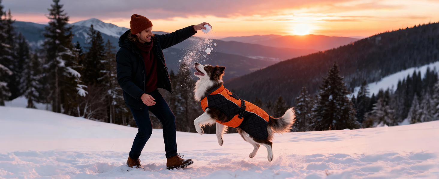 Зимовий теплий куртка для собак, непромокаємий, вітрозахисний, з регульованою застібкою, оранжево-чорний (XS, 43.2-50.8 см)