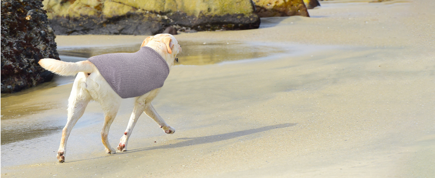 Сорочка для собак Х'юмараян, великі породи, зелена XXL: захист від сонця, еластична, для лабрадорів