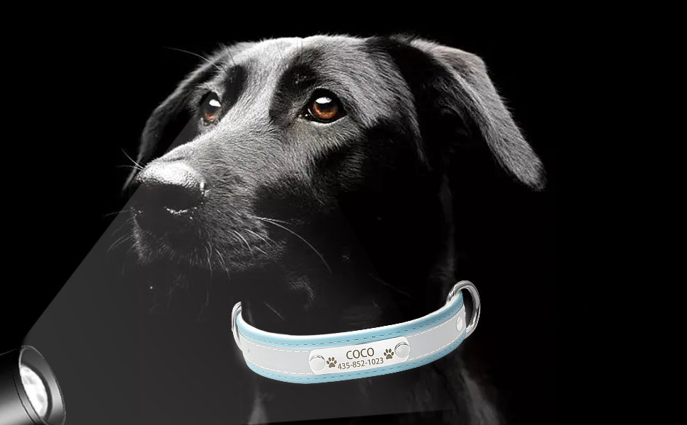 Іменний світловідбиваючий нашийник та поводок для собак та котів Senristar, блакитний комплект. Персоналізований нашийник з гравіюванням, XS (ширина 1,5 см, обхват шиї 19-25 см)