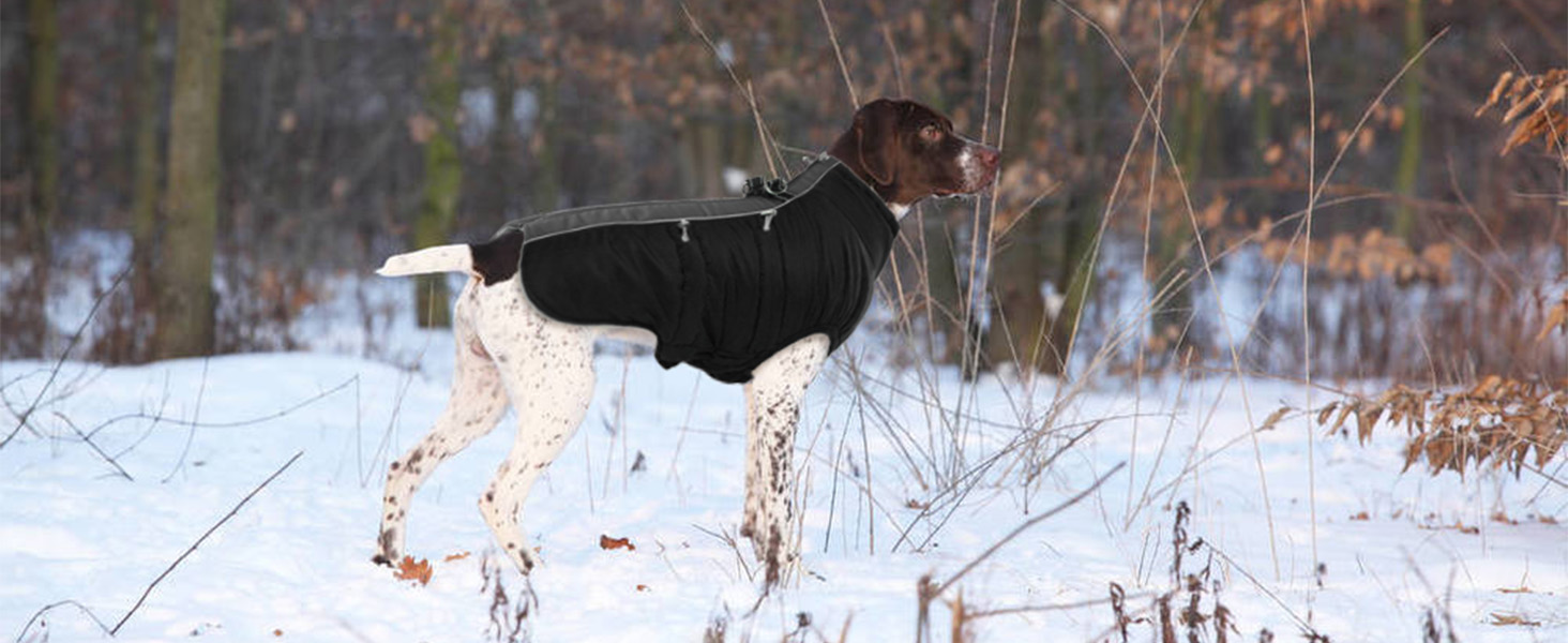 Водонепроникний зимовий одяг для собак, тепла куртка для собак з отвором для шлейки, для малих, середніх та великих собак, з відбиваючими смугами та блискавкою - чорний, XS