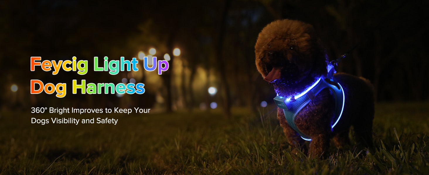 Світлодіодне шлейка для собак Feycig з LED підсвічуванням, перезаряджувана, для цуценят та собак середніх розмірів, дихаюча, синього кольору (Large)