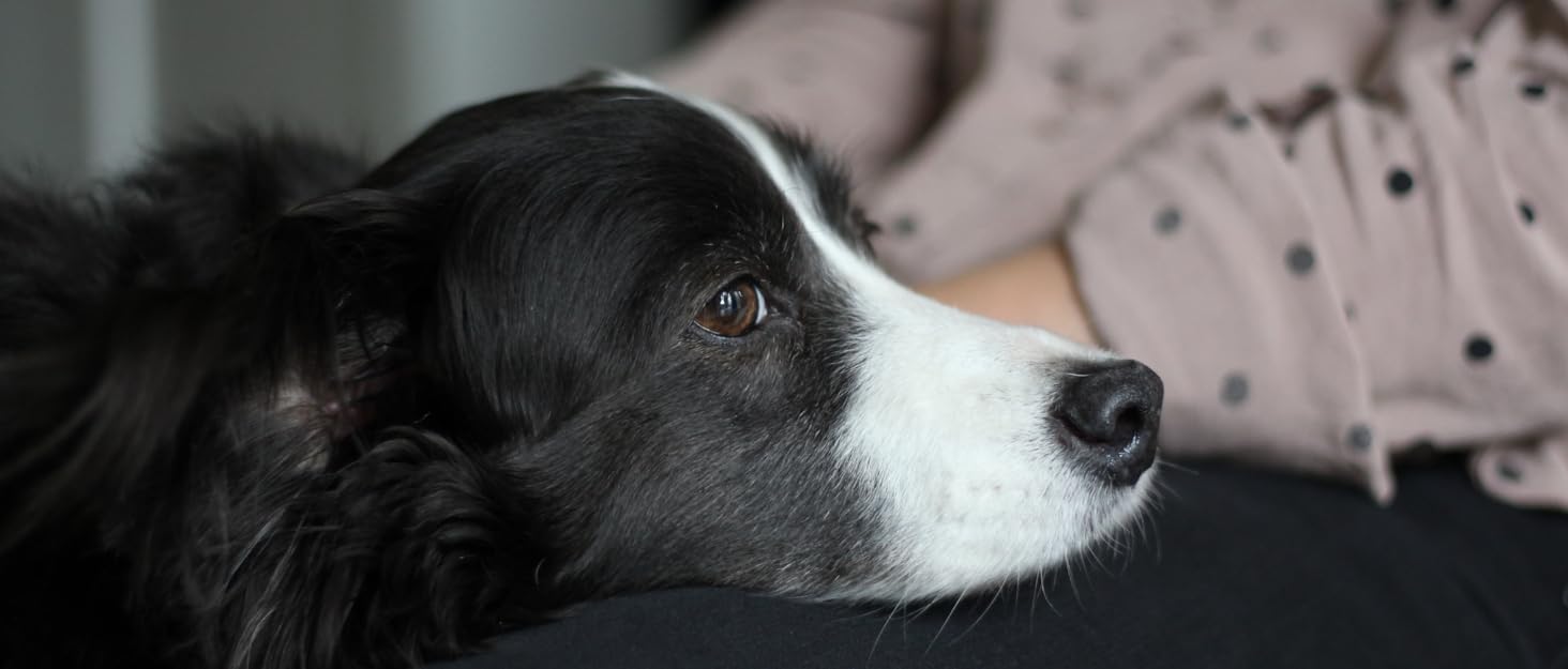 М'яка ковдра для домашніх тварин: для собак, котів, цуценят та кошенят. Велика, у формі серця