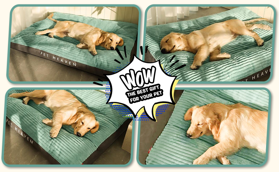 Килимок для собак Petcute великих та середніх порід, м'який, знімний, дихаючий, з неслизьким дном, зелений