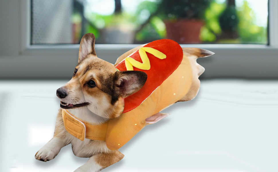 Костюм для тварин