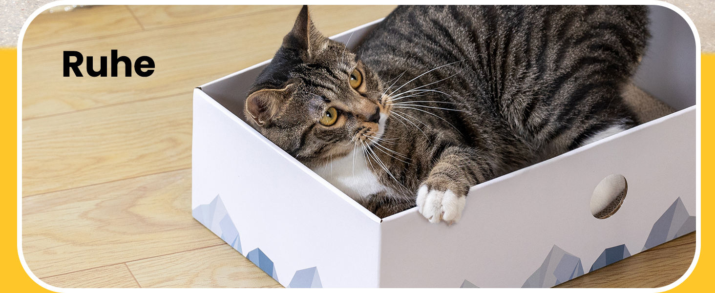 5-Piece Conlun Cat Scratch Box Set with Scratching Pad - Large, White