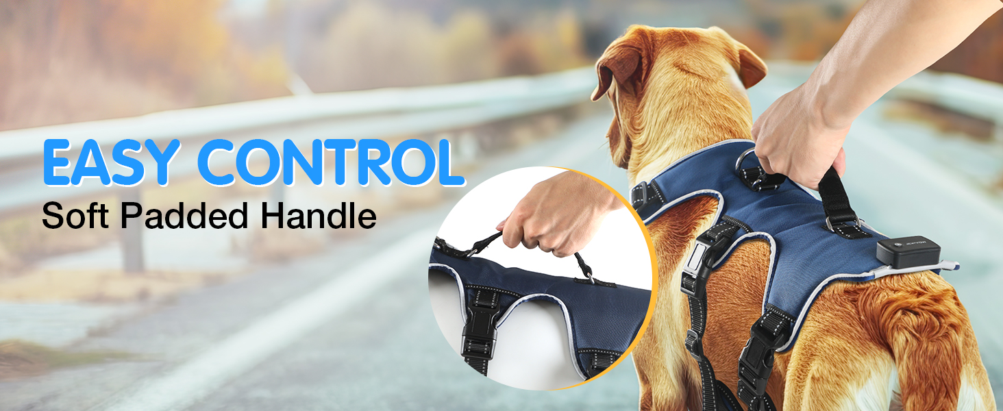 Світловідбиваючий нашийник для собак з LED підсвічуванням, перезаряджуваний, з м'якою ручкою, 3 регульовані розміри, водонепроникний, для середніх та великих собак, зелений (блакитний, XL)