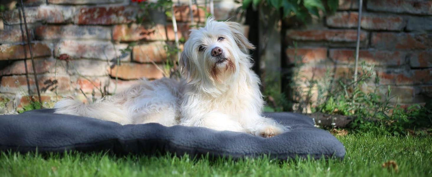 Зручне ліжко для собак та котів Zollner, сіре - 90x67x8 см, з антиковзким покриттям, можна прати до 30°C