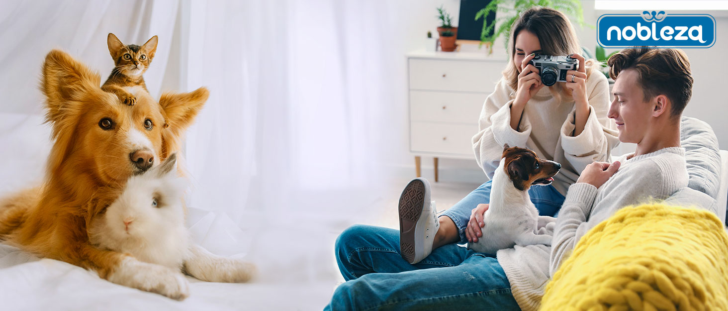 Ліжко для собак Nobleza, великі породи, корзина, диван, подушка, корзина, знімний чохол, 75 x 50 см